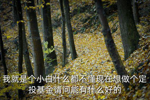 我就是個(gè)小白什么都不懂現(xiàn)在想做個(gè)定投基金請(qǐng)問能有什么好的