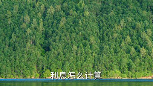 利息怎么計算