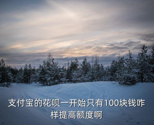 花唄怎么才100額度，花唄怎么樣才能變多我現(xiàn)在才100
