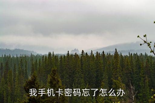 我手機(jī)卡密碼忘了怎么辦