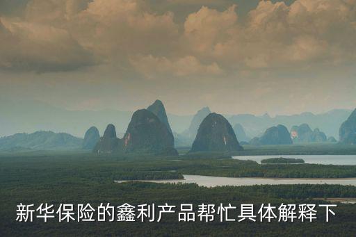 新華鑫利基金管理有限公司怎么樣，新華保險的鑫利產(chǎn)品幫忙具體解釋下
