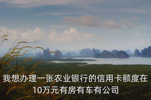申請(qǐng)農(nóng)行10萬的信用卡怎么辦理信用卡，農(nóng)業(yè)銀行怎么辦信用卡啊