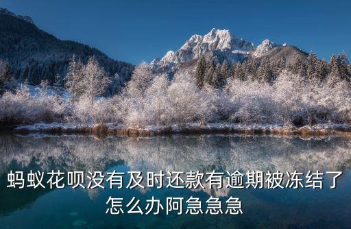 花唄未能及時還款怎么辦，螞蟻花唄沒有及時還款有逾期被凍結了怎么辦阿急急急