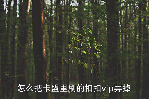 怎么解除卡盟刷，在卡盟刷的東西怎么取消