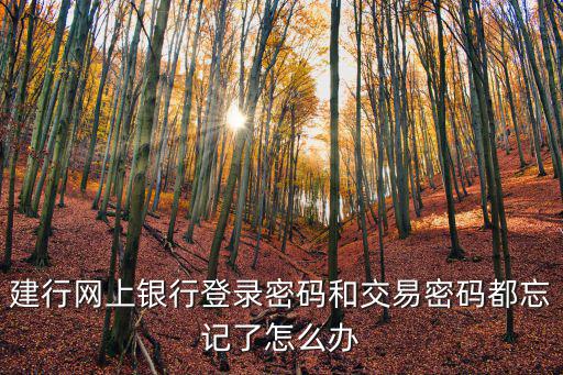 建行登陸忘記了怎么辦，建設(shè)銀行手機(jī)登錄密碼忘記怎么辦