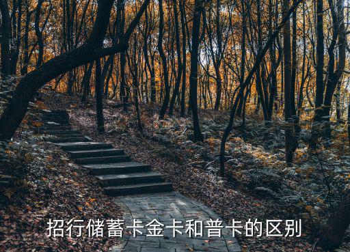 金卡和普卡怎么識別，銀行金卡和普通卡什么區(qū)別