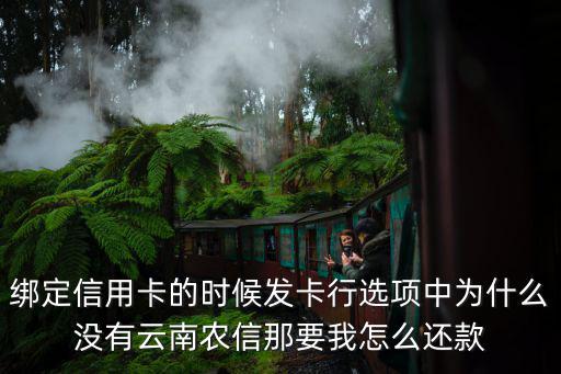 農(nóng)信普卡怎么還款，農(nóng)行普通卡辦理的分期我想知道還要幾期還清需要怎么操作