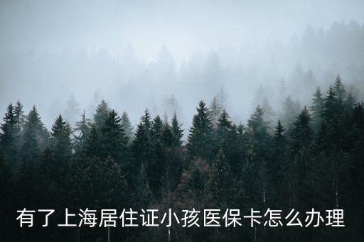 有了上海居住證小孩醫(yī)?？ㄔ趺崔k理