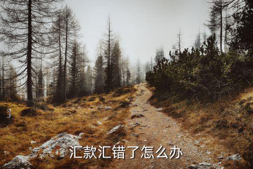 戶名 款匯錯了怎么辦，匯款時名字錯了怎么辦
