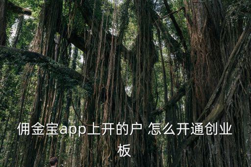 傭金寶怎么開創(chuàng)業(yè)板，傭金寶app上開的戶 怎么開通創(chuàng)業(yè)板