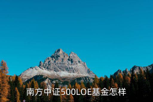 南方中證500LOE基金怎樣