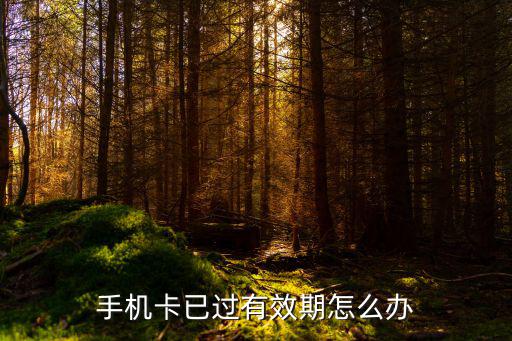 手機卡已過有效期怎么辦