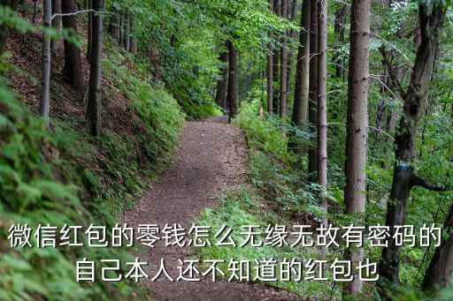 微信紅包的零錢怎么無(wú)緣無(wú)故有密碼的自己本人還不知道的紅包也