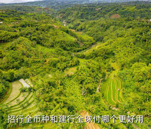 招行全幣種和建行全球付哪個(gè)更好用
