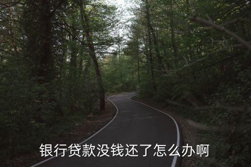 銀行貸款沒錢還了怎么辦啊