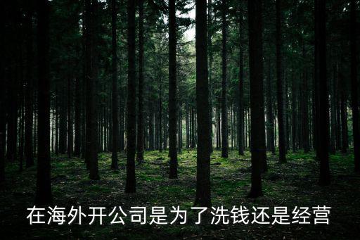 在海外開公司是為了洗錢還是經(jīng)營