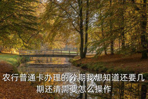 農(nóng)行普通卡辦理的分期我想知道還要幾期還清需要怎么操作