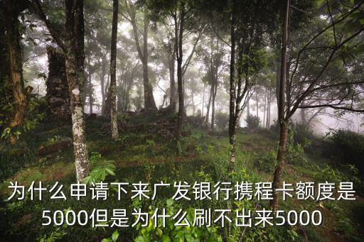 我的攜程怎么沒有額度是多少錢，攜程要求必須用信用卡支付如果我信用卡的額度沒有那么高怎么辦
