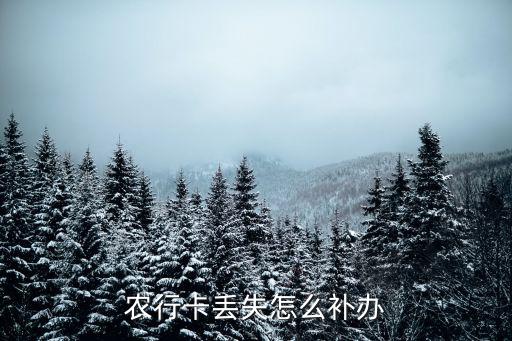 農(nóng)行卡丟失怎么補(bǔ)辦