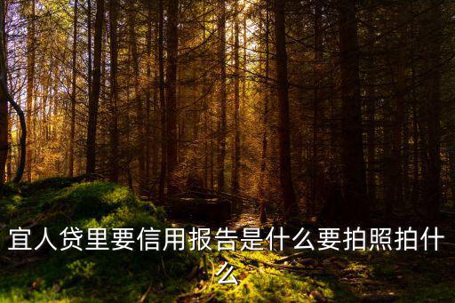 宜人貸里要信用報(bào)告是什么要拍照拍什么
