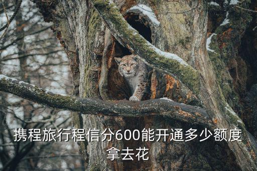 攜程旅行程信分600能開通多少額度拿去花