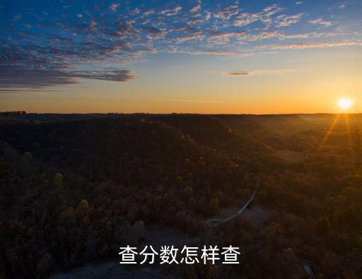 新鄭農(nóng)商行分數(shù)怎么看，怎么看這個的分數(shù)
