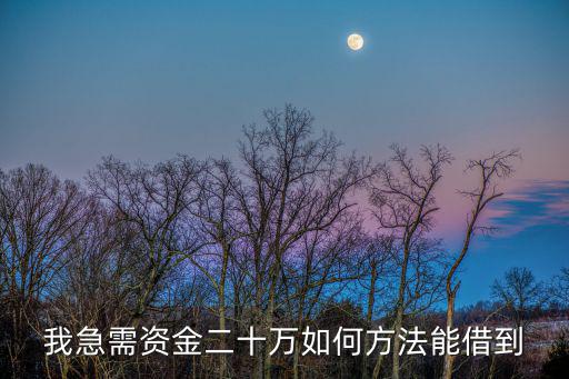 我急需資金二十萬如何方法能借到