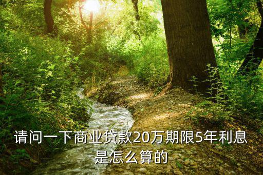 請問一下商業(yè)貸款20萬期限5年利息是怎么算的