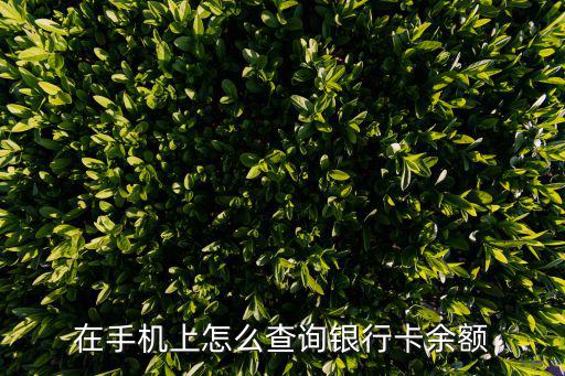 在手機(jī)上怎么查詢銀行卡余額