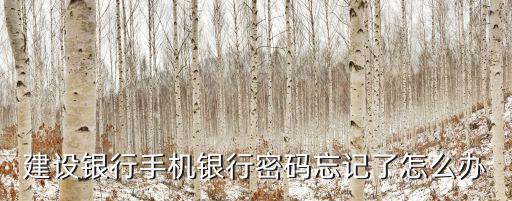 建設(shè)銀行手機銀行密碼忘記了怎么辦