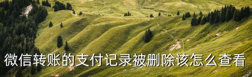微信轉(zhuǎn)賬的支付記錄被刪除該怎么查看