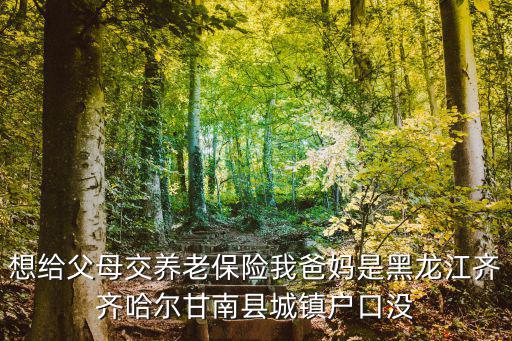 想給父母交養(yǎng)老保險(xiǎn)我爸媽是黑龍江齊齊哈爾甘南縣城鎮(zhèn)戶口沒