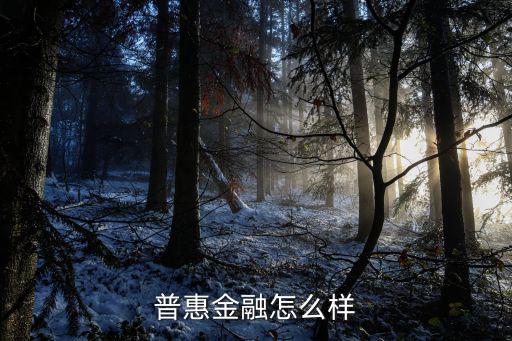 普惠金融怎么樣