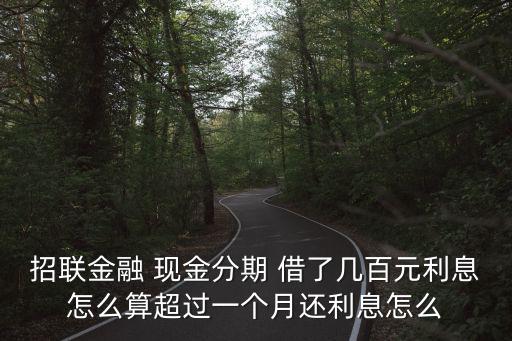 招聯(lián)金融 現(xiàn)金分期 借了幾百元利息怎么算超過(guò)一個(gè)月還利息怎么