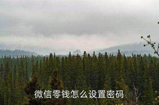 微信錢(qián)包怎么上密碼怎么設(shè)置密碼，微信收付款怎么設(shè)置密碼