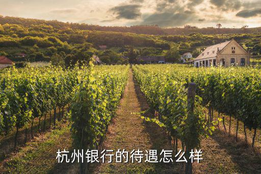 央行杭州怎么樣，杭州銀行的待遇怎么樣