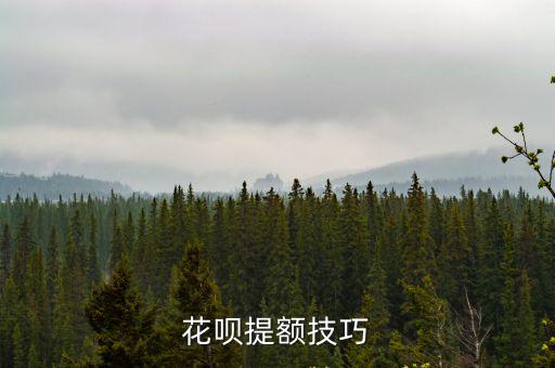 花唄提額技巧