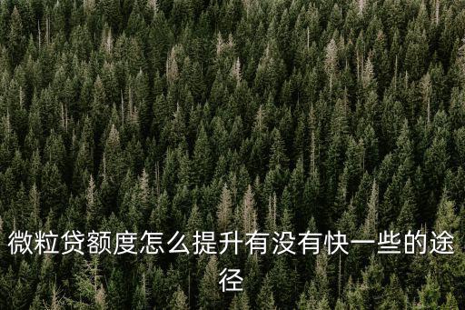 微粒貸額度怎么提升有沒有快一些的途徑