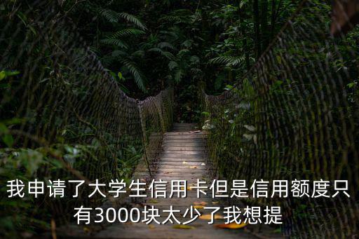 農(nóng)行校園信用卡額度怎么提升額度，農(nóng)業(yè)銀行信用卡如何提高額度