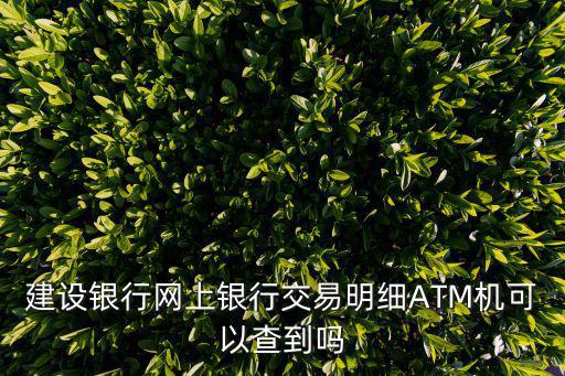 建設(shè)銀行網(wǎng)上銀行交易明細(xì)ATM機(jī)可以查到嗎