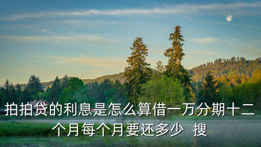 拍拍貸的利息是怎么算借一萬分期十二個(gè)月每個(gè)月要還多少  搜