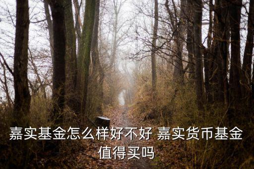 嘉實(shí)基金怎么樣好不好 嘉實(shí)貨幣基金值得買(mǎi)嗎