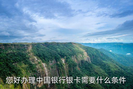 您好辦理中國銀行銀卡需要什么條件