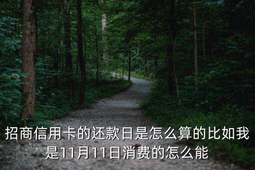 招商信用卡的還款日是怎么算的比如我是11月11日消費(fèi)的怎么能