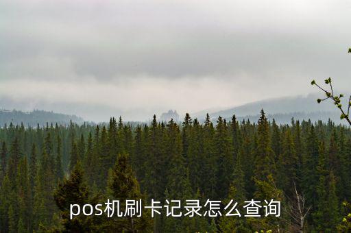 pos機(jī)刷卡記錄怎么查詢
