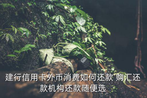 怎么替別人購匯還款，給別人的交行信用卡還款美元怎么樣最方便