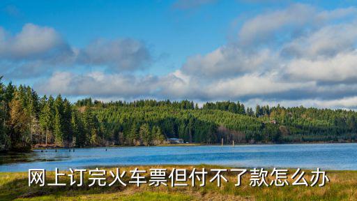 中國(guó)銀行 火車票 支付不了怎么辦理嗎，網(wǎng)上買火車票點(diǎn)擊中國(guó)銀行不能支付