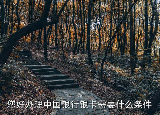 中行無(wú)限卡怎么申請(qǐng)條件，中行無(wú)限極信用卡有人辦理嗎說(shuō)說(shuō)了解了解
