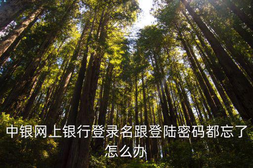 中行登陸不了密碼忘了怎么辦，中銀網(wǎng)上銀行登錄名跟登陸密碼都忘了怎么辦