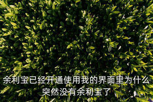 余利寶已經(jīng)開通使用我的界面里為什么突然沒有余利寶了